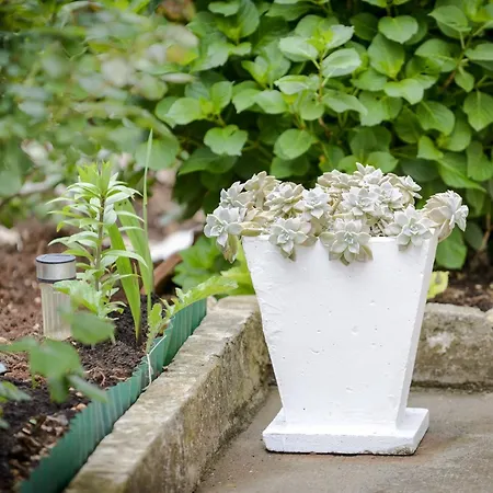 Matic - Two-bedroom *