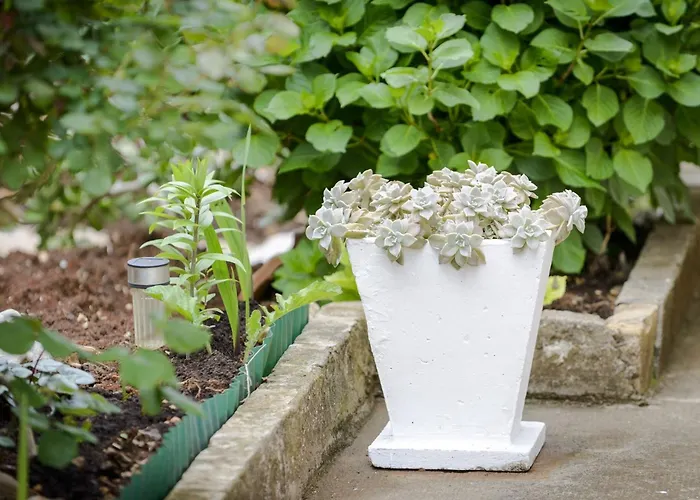 Matic - Two-bedroom *